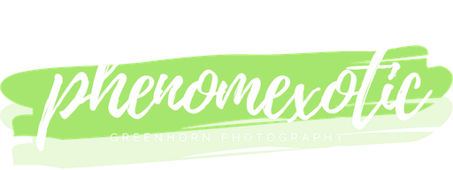 phenomexotic [greenhorn photography]